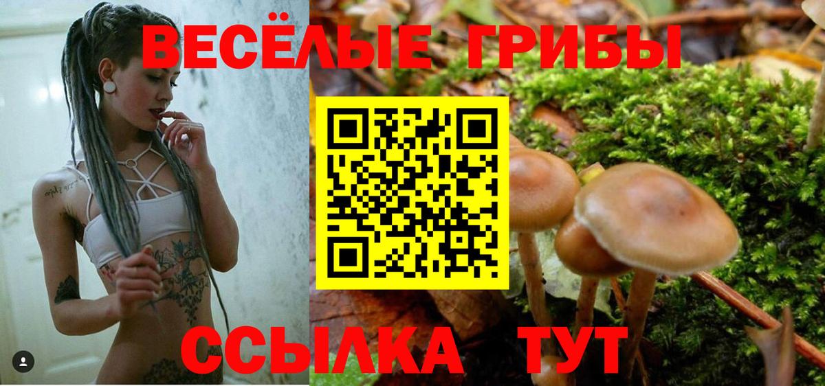Галлюциногенные грибы прущие грибы  Вход с VPN  Галлюциногенные грибы мухоморы  Тайшет 